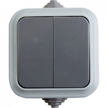 Выключатель двухклавишный REXANT влагозащищенный открытой установки IP54, 10 А, А56-224 (03)